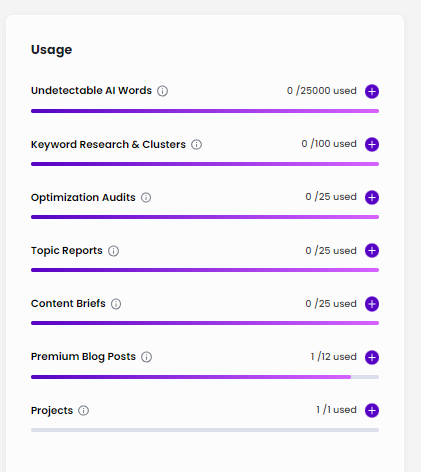 Content At Scale Usage Options